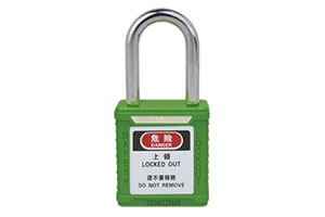 What are the common padlock models?